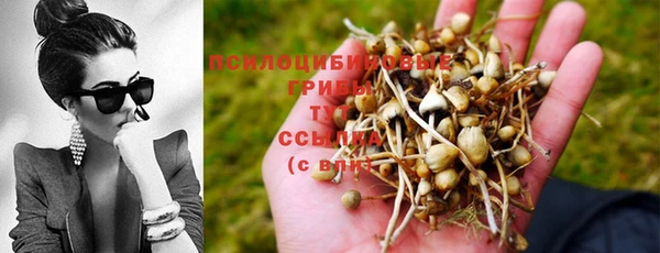 ALPHA PVP Абинск